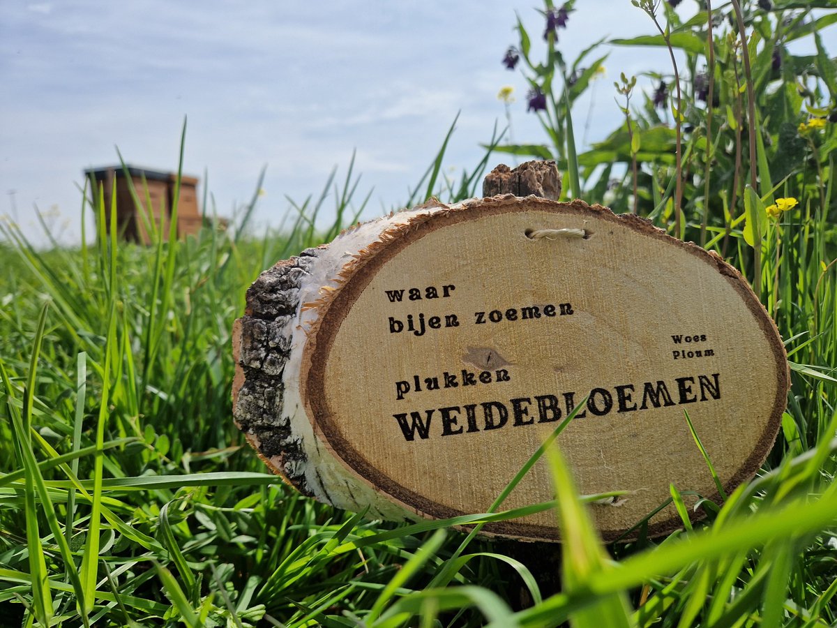 De Berkelse imker Bodewes en diens bijen getrakteerd op een stukje Biologisch Breekbaar Buitenpoëzie*. Hij was er erg blij mee!

* #bbb #poezie #lansingerland #puntgedicht