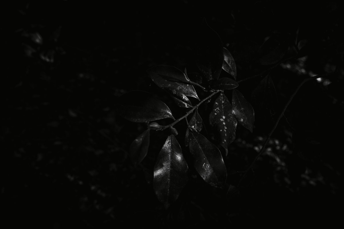 almightygenera1's tweet image. 