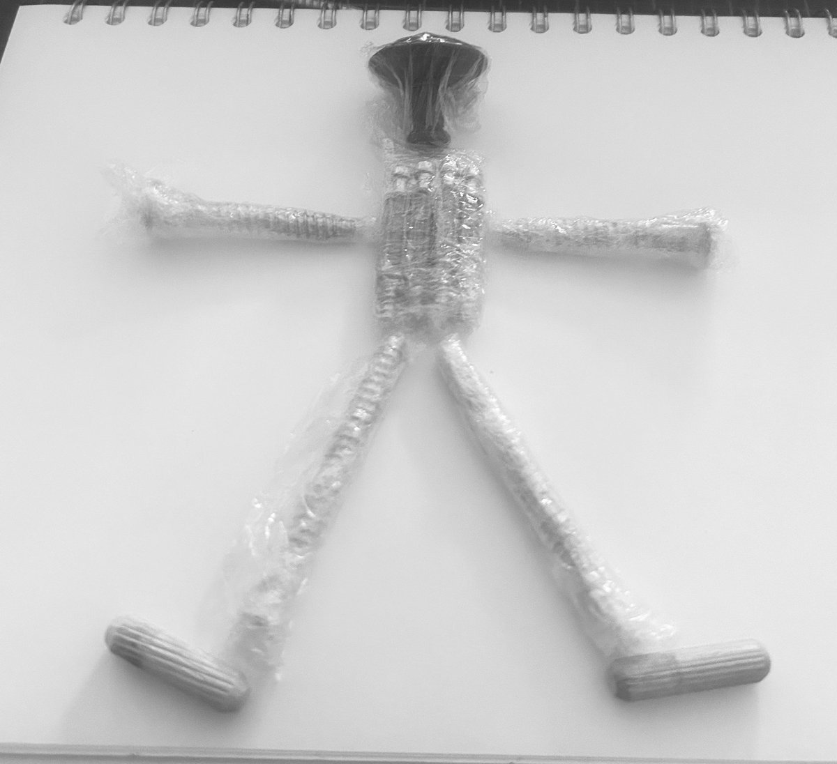 sarah oldnall tweet media