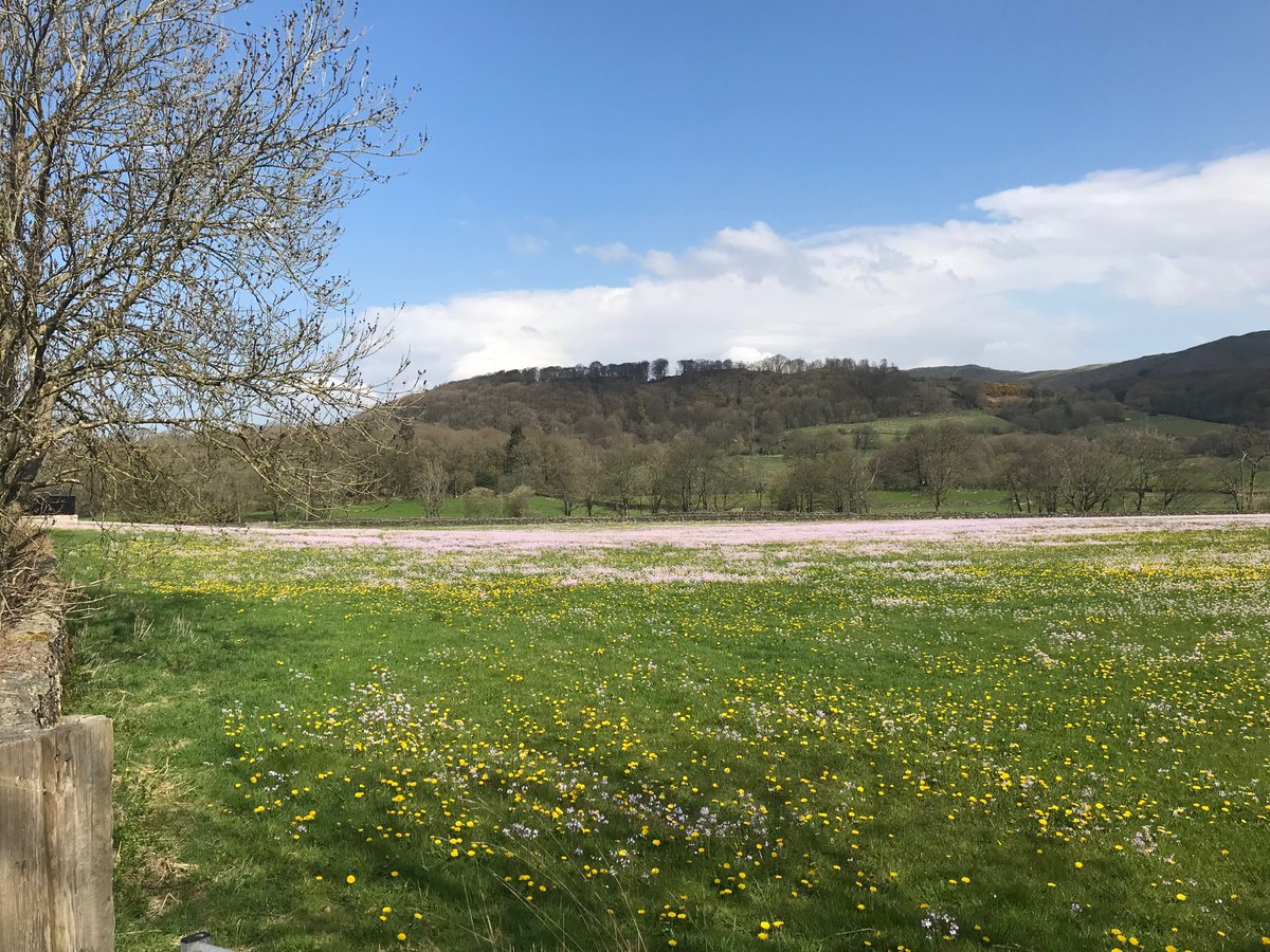 The Lost Words for Cumbria tweet media