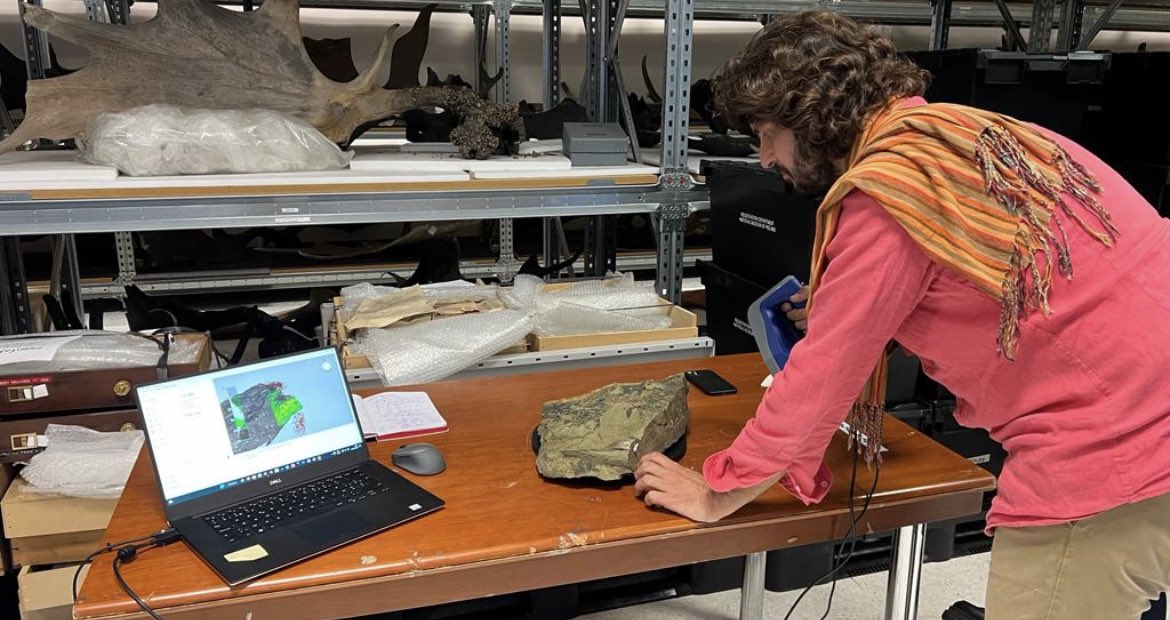Great day in the collections of the @NMIreland with @ALDecombeix and Dr Carla Harper ! I officially entered the 21st century using a 3D scanner!!! @TCD_NatSci @ULiegeRecherche @RBINSmuseum #FossilFriday