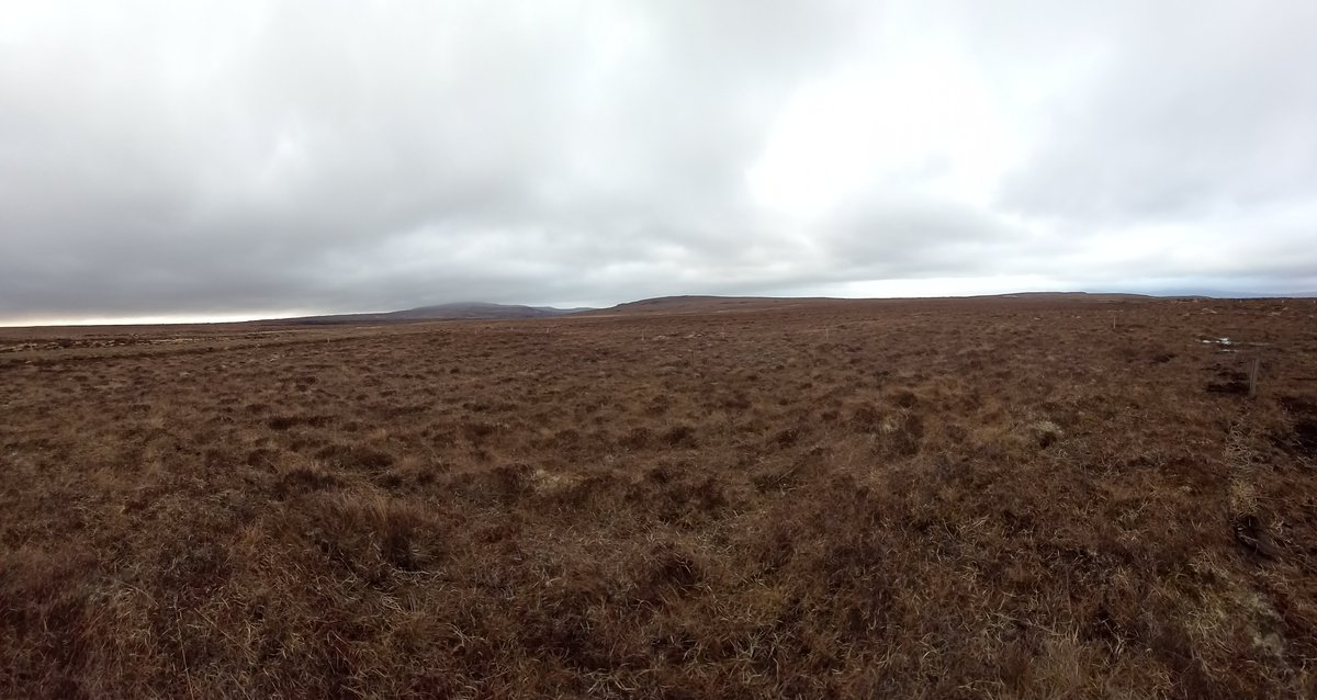 SpaceNessie's tweet photo. Construction at Sutherland Spaceport has started. VERY windy here tonight. Will post more photos soon. #SpaceNessie #TeamSpace #Orbex #Sutherland #NC500 https://t.co/MvKCux3an9