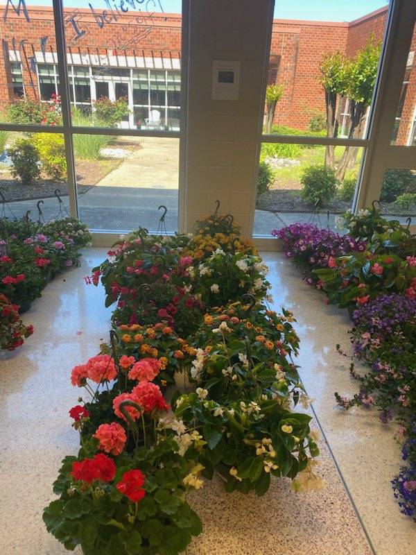 JolliffMiddle's tweet image. It is that time again, our annual flower🌺 sale! Proceeds go to our teacher account &amp;amp; help us provide  well-deserved appreciation in a variety of ways. Call or stop by for more info! #ourstaffjams #theyPRESSeveryday #engageCPS #theydeserveit