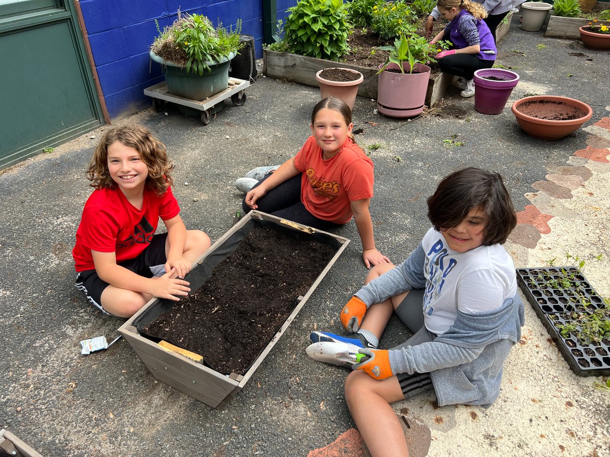 RobergeES's tweet photo. POGStudio's 5th grade Garden Club beautifying our courtyard today by planting some flowers.. https://t.co/yDGGtl50Li