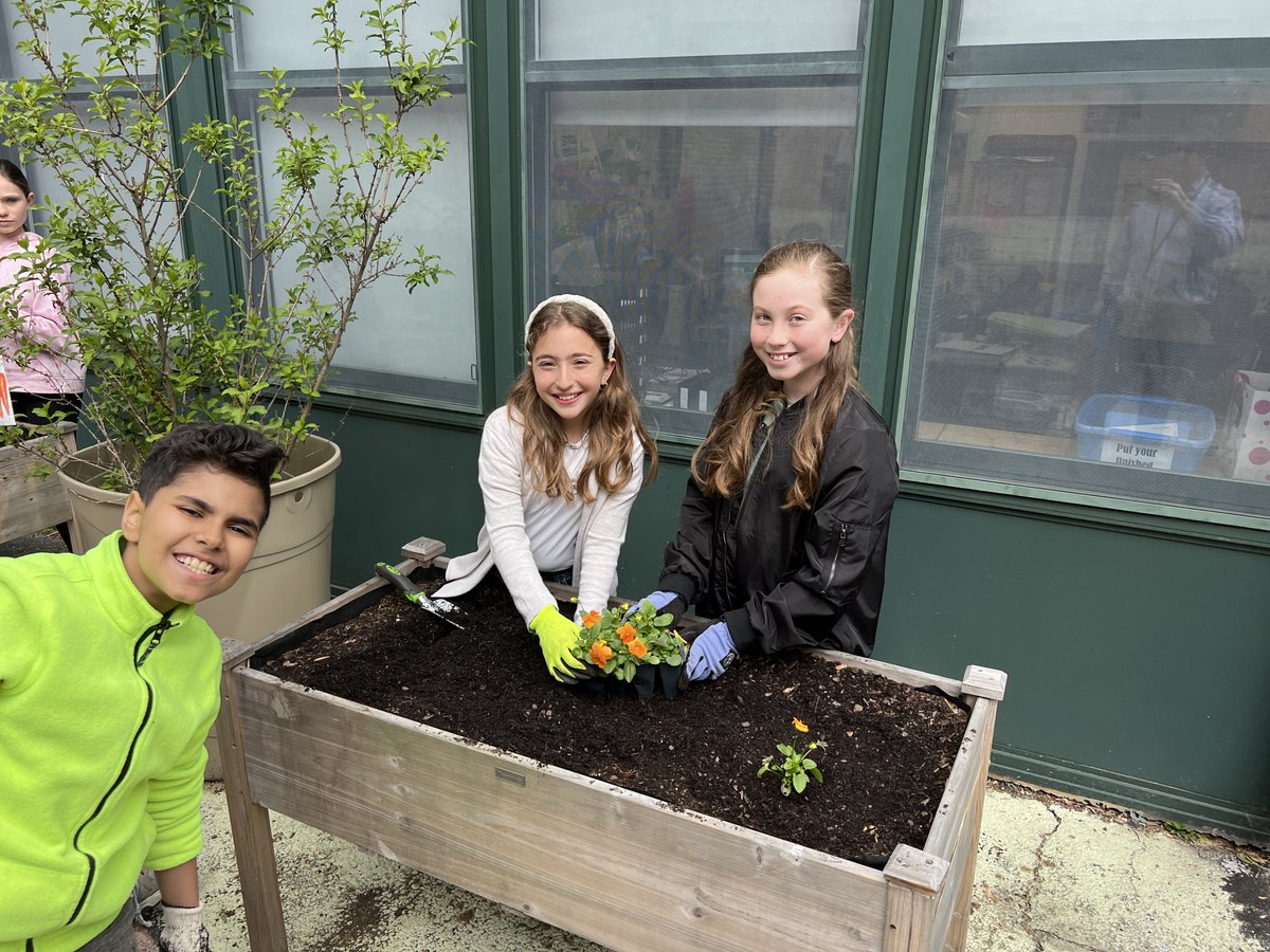 RobergeES's tweet photo. POGStudio's 5th grade Garden Club beautifying our courtyard today by planting some flowers.. https://t.co/yDGGtl50Li