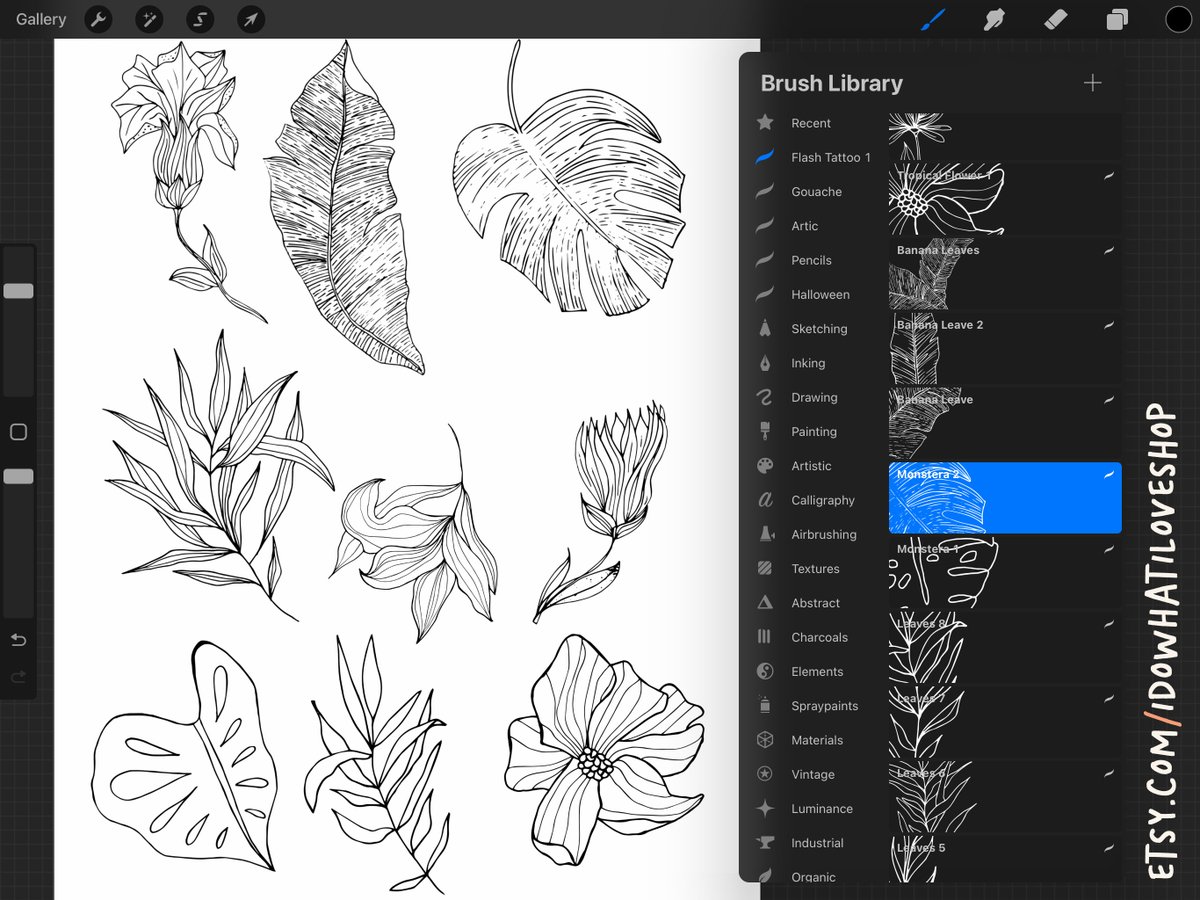 studionozes's tweet photo. PROCREATE Floral Stamps, TATTOO FLASH Botanical LineArt,  https://t.co/e6lUxxx1tC via @Etsy #flashtattoo #botanical #lineart #etsy https://t.co/msn0IhJNxt
