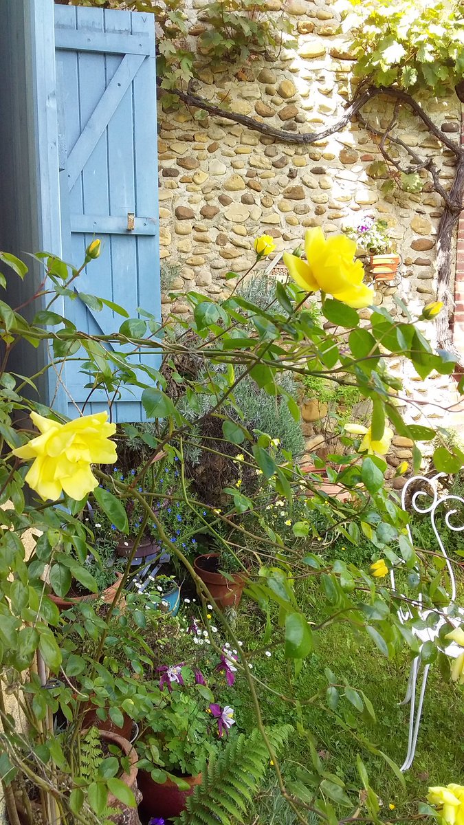 BeatiteBeatrice's tweet photo. "La vie ordinaire ne cesse de vouloir nous aider. Nous sommes fous de vouloir aller dans le spectaculaire, de croire qu'il faut toute une machinerie pour nous émerveiller. 
Rien de plus émerveillant que le vivant, que l'éphémère, que l'ordinaire".

Christian Bobin https://t.co/fRef8Xud20