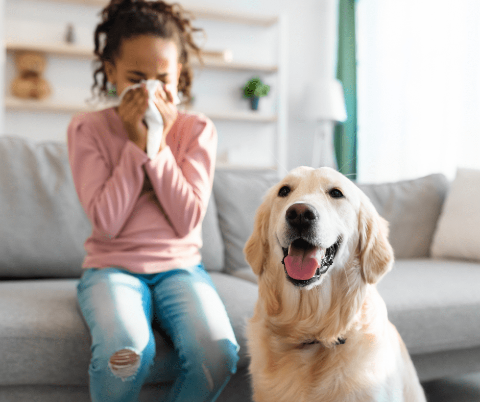 Spring cleaning time is here! Professional carpet cleaning offers many benefits like improved air quality, removing allergens, and getting rid of pet odors.
Check out our blog to learn more about why it's a game-changer for your home. 

escarosacleaningandrestoration.com/how-profession…

#carpetcleaning