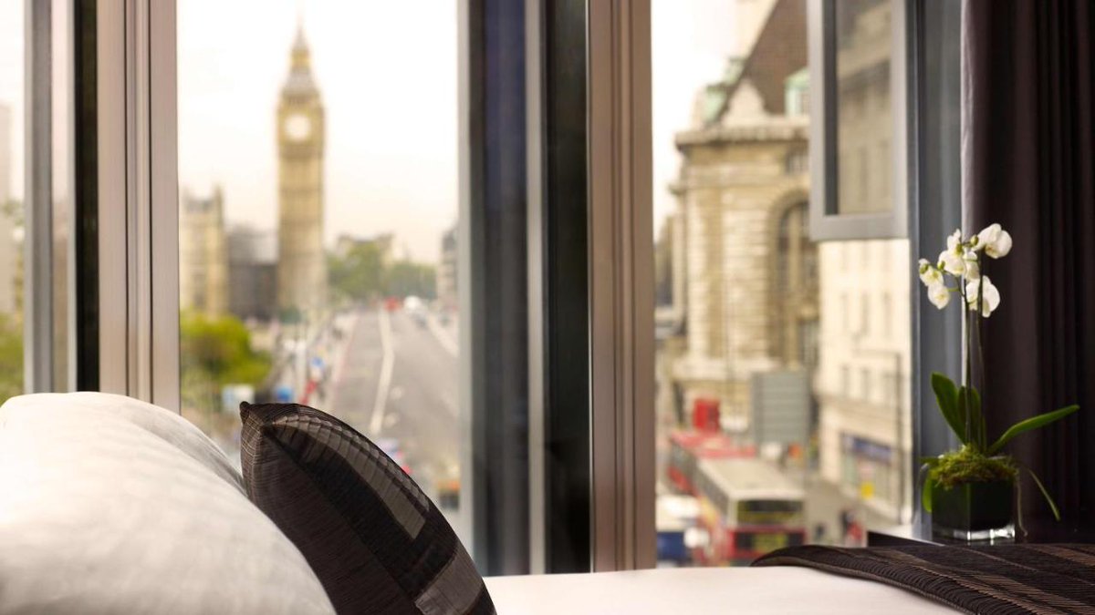 raphanomundo tweet media