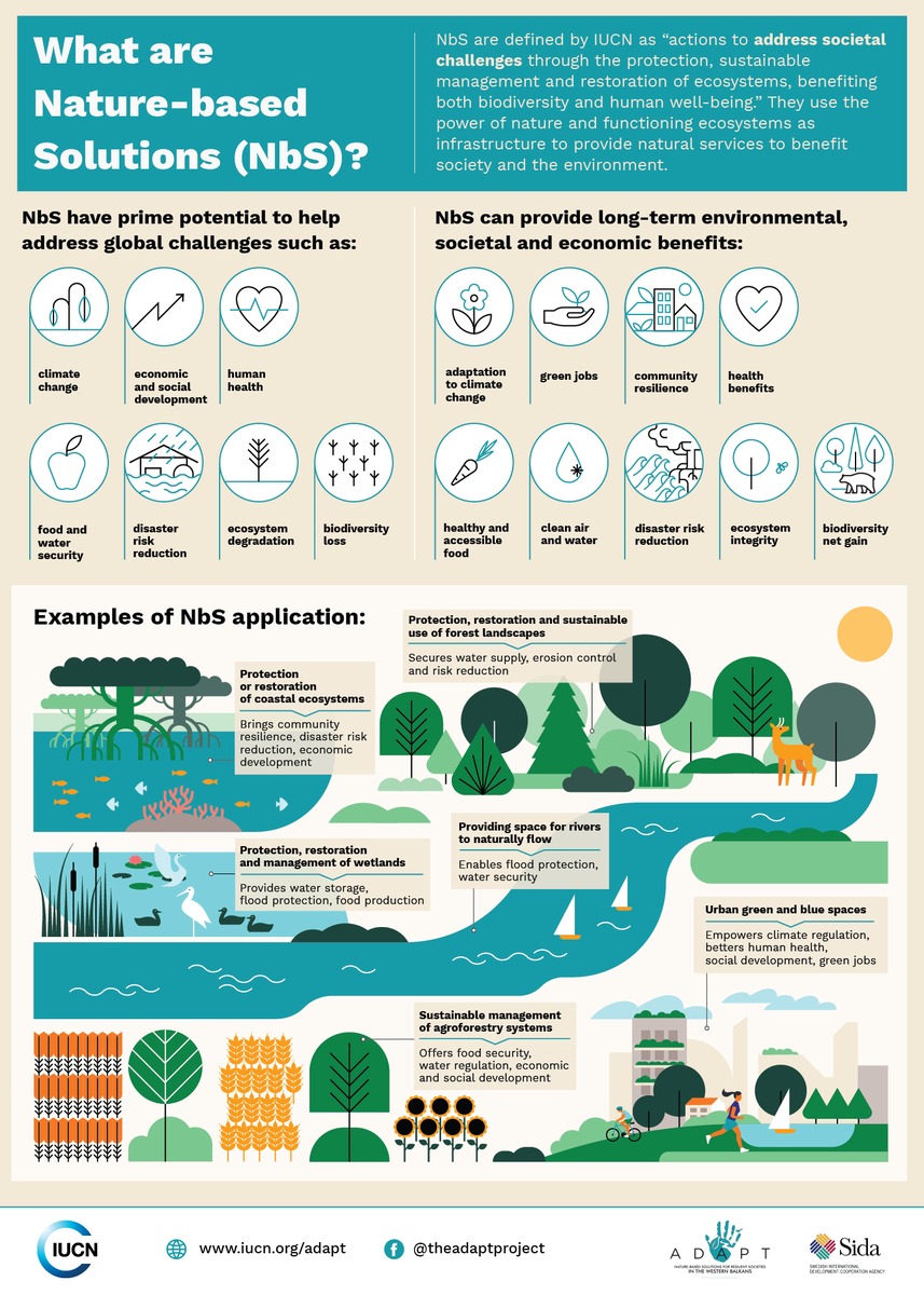 Nature-based solutions (NbS) benefit both #biodiversity and human well-being🍃🌍🏃 💡Find out more about NbS' potential, benefits, and applications in this infographic. ⬇️ Via @IUCN #BuildBackBiodiversity #BiodiversityDay