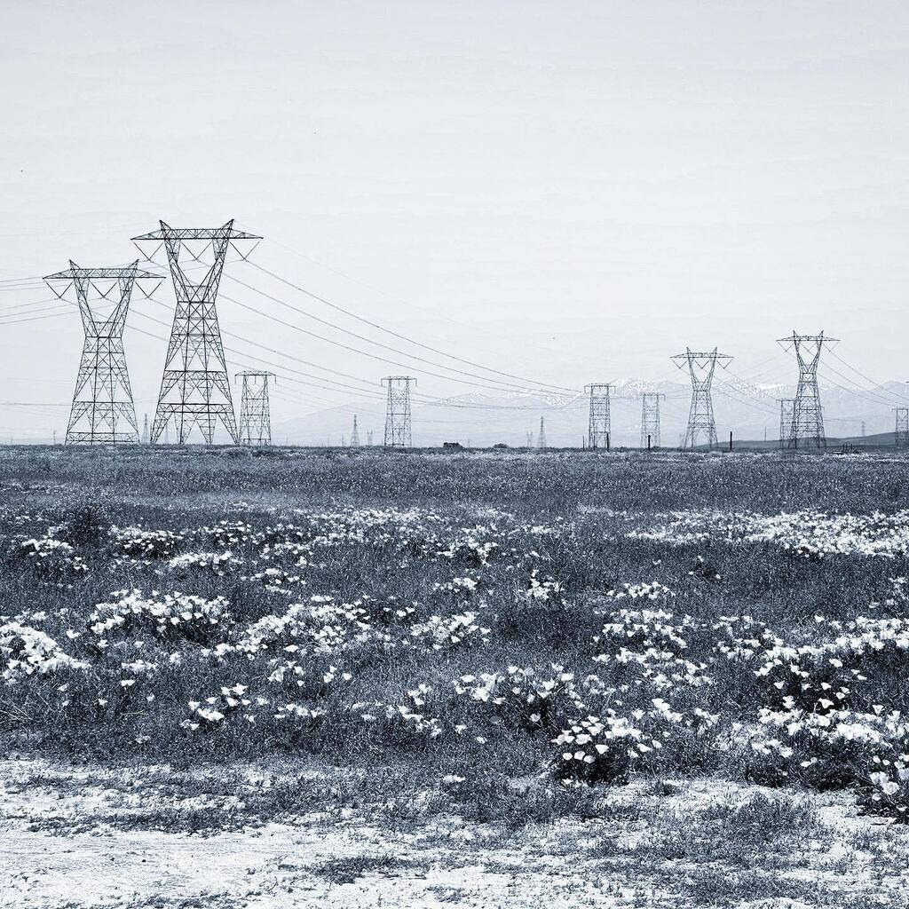 ⚡️🌼⚡️🌸 instagr.am/p/Cr3w-Kkveph/