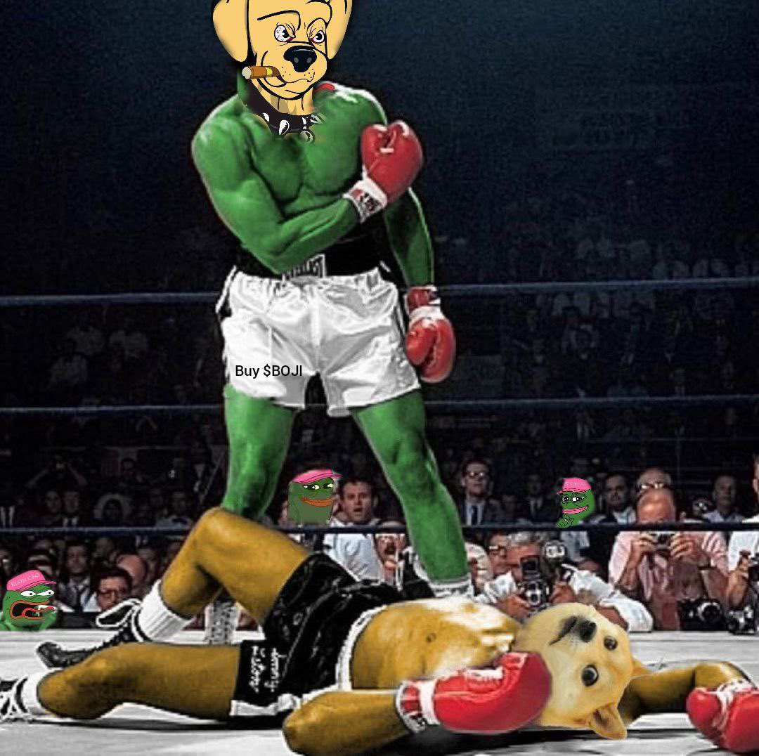 Knockout!

$BOJI won.

Thanks <a href="/pepecoineth/">Pepe</a> for support.

Next match is $BOJI vs $FLOKI

$Pepe #Pepe #Doge #Floki