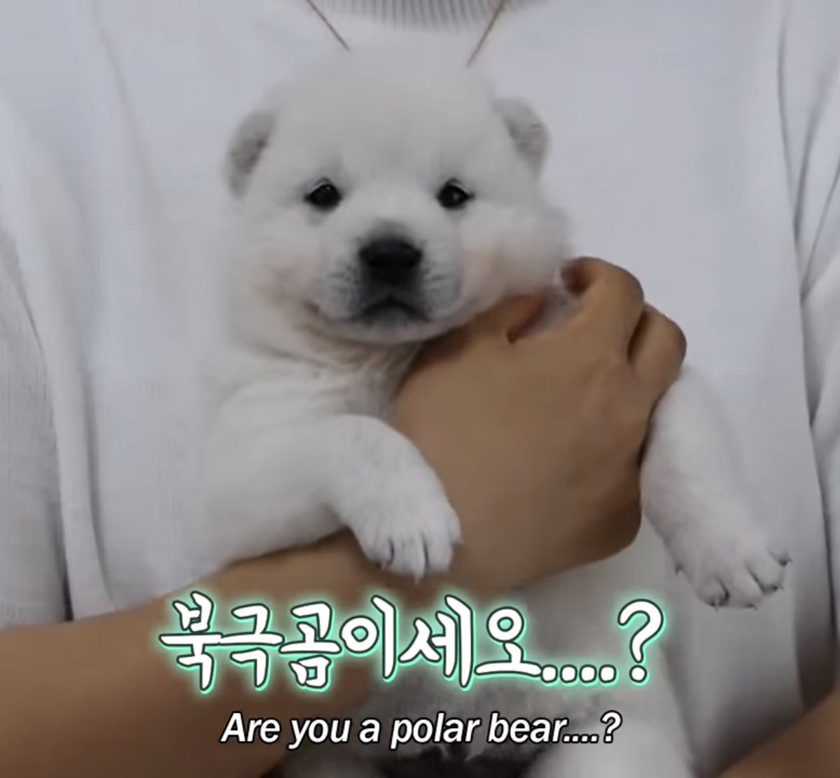 태양이내눈엔이럼