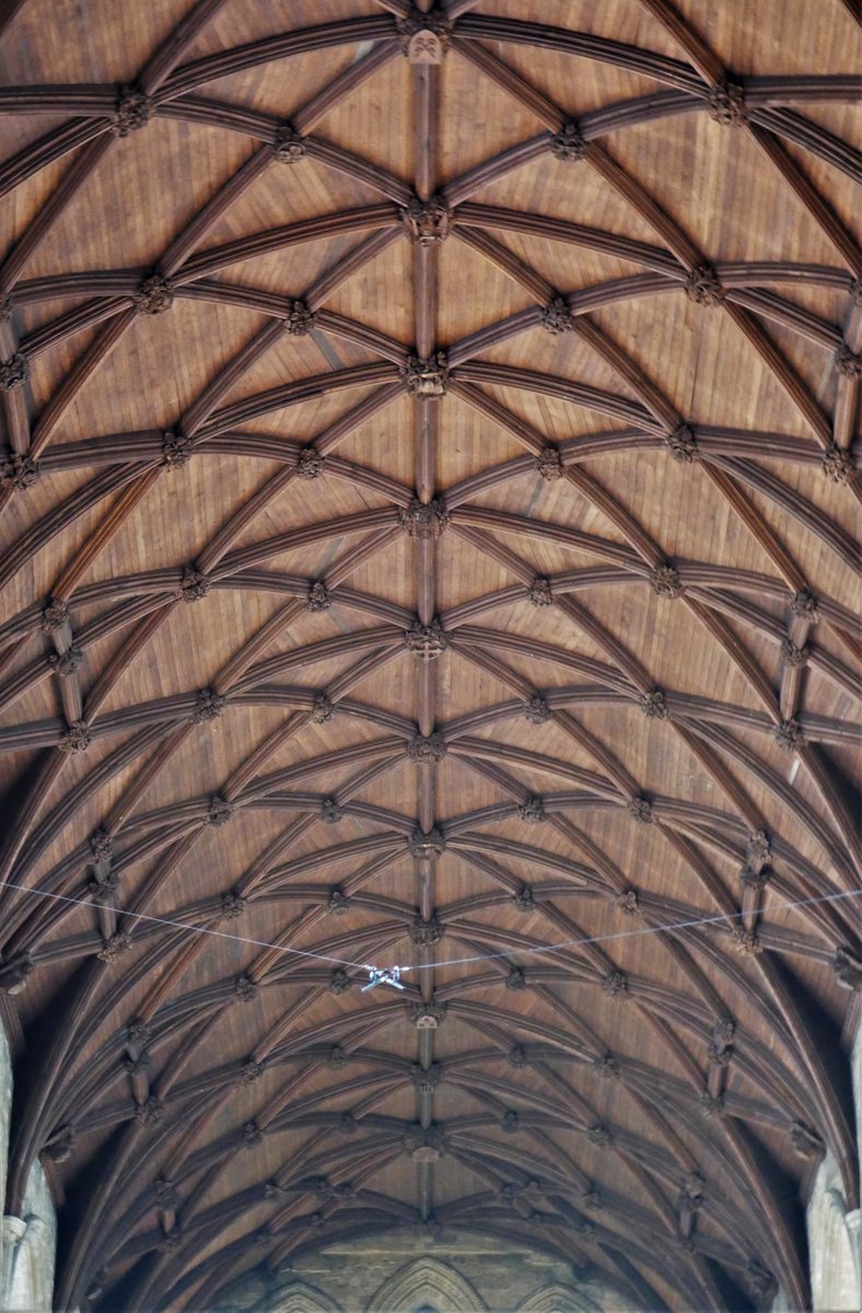 You know I like to #LookUp #Ripon