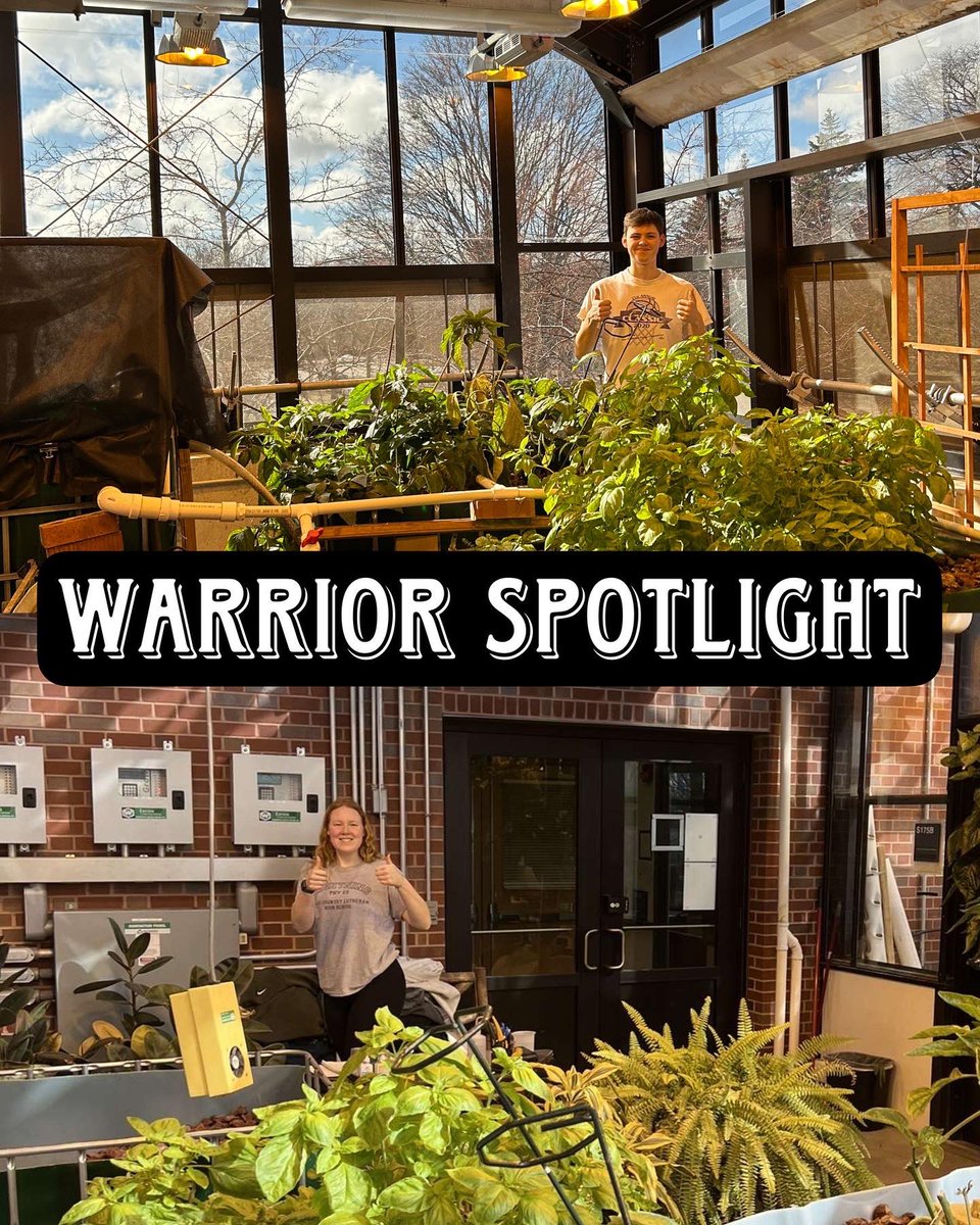 WLC Men’s Volleyball tweet media