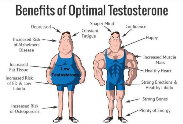 GetFitFast's tweet image. Optimal Testosterone in your body