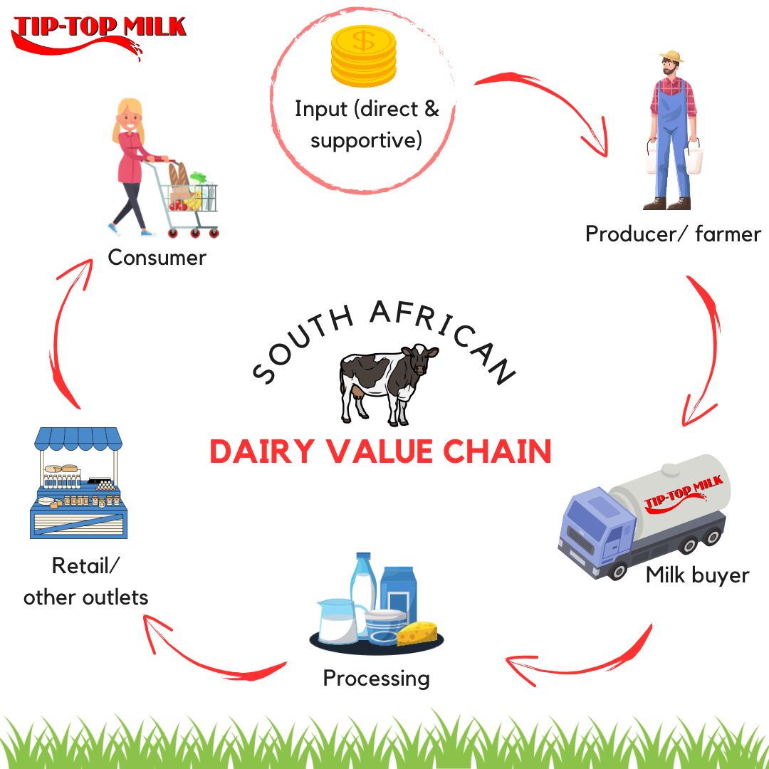 tiptop_milk's tweet photo. Here’s a glimpse into #SouthAfrica’s 5th largest #agriculturalsector, the #dairyindustry’s, value chain 🐄
Thank you SA #dairyfarmers for ensuring consumers have tasty milk &amp; milk products daily! ❤️ https://t.co/DUhz06vWBu