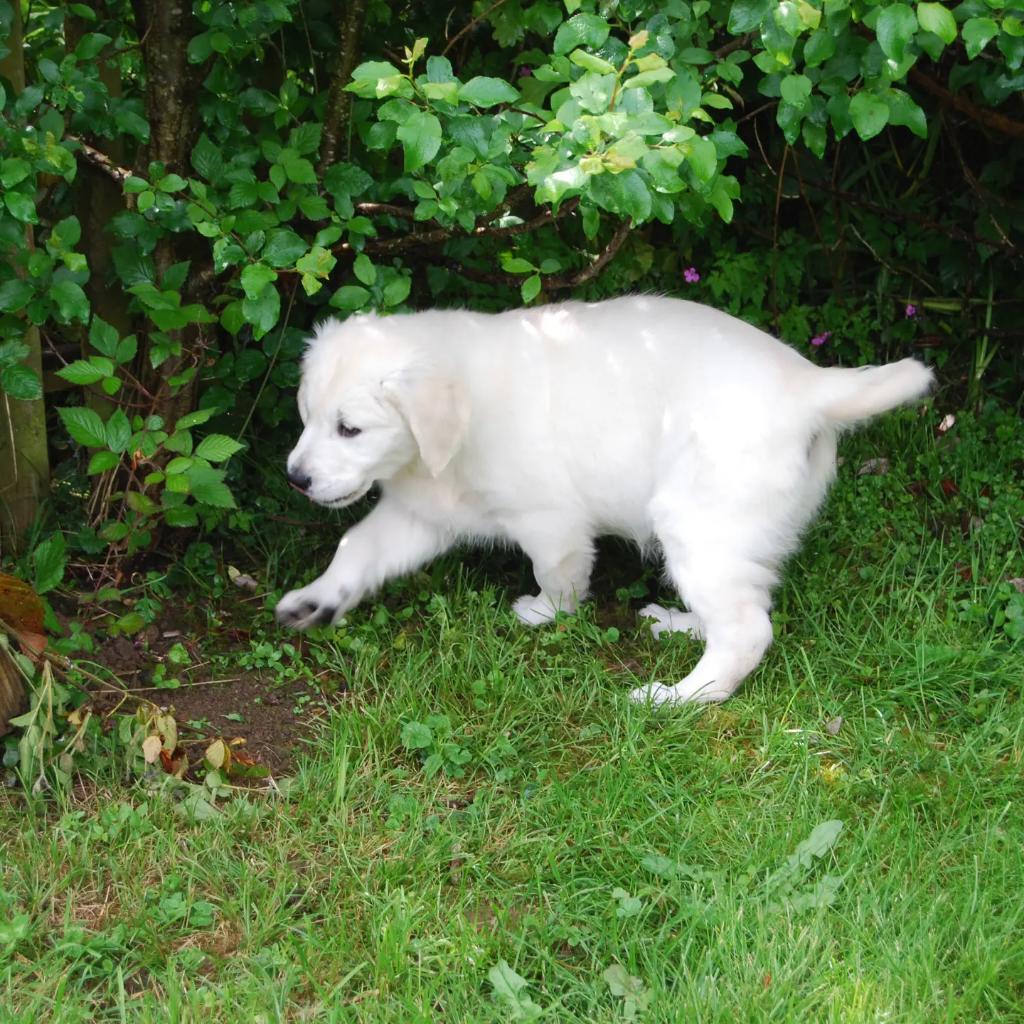 EREA-LEA Françoise Dolto (79) tweet media