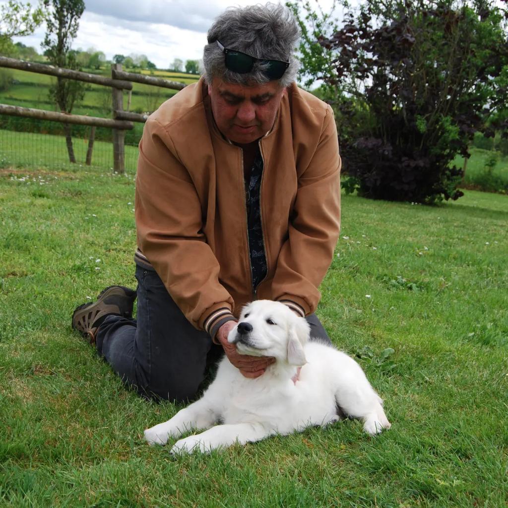 Una, la Golden retriever de <a href="/Erea79/">EREA-LEA Françoise Dolto (79)</a> vient de rejoindre son foyer, avec son maître, enseignant de l'établissement. Elle va y grandir tranquillement les 4 prochains mois, pour faire sa rentrée en septembre, en même temps que les élèves ! #MediationAnimale <a href="/EPSa/">E.P.S.A.</a> <a href="/DSDEN79/">DSDEN Deux-Sèvres</a> <a href="/acpoitiers/">Académie de Poitiers</a>
