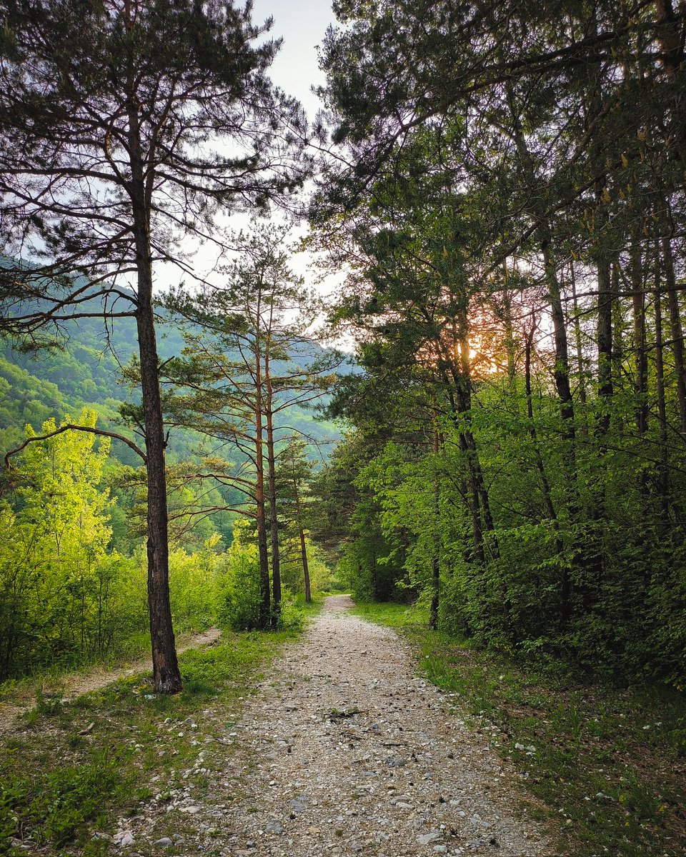 zommylens's tweet image. Peace of mind 🌲🌊

#OPPOFindN2Flip #Flexform #Flipcreativity #OPPOAmbassadors