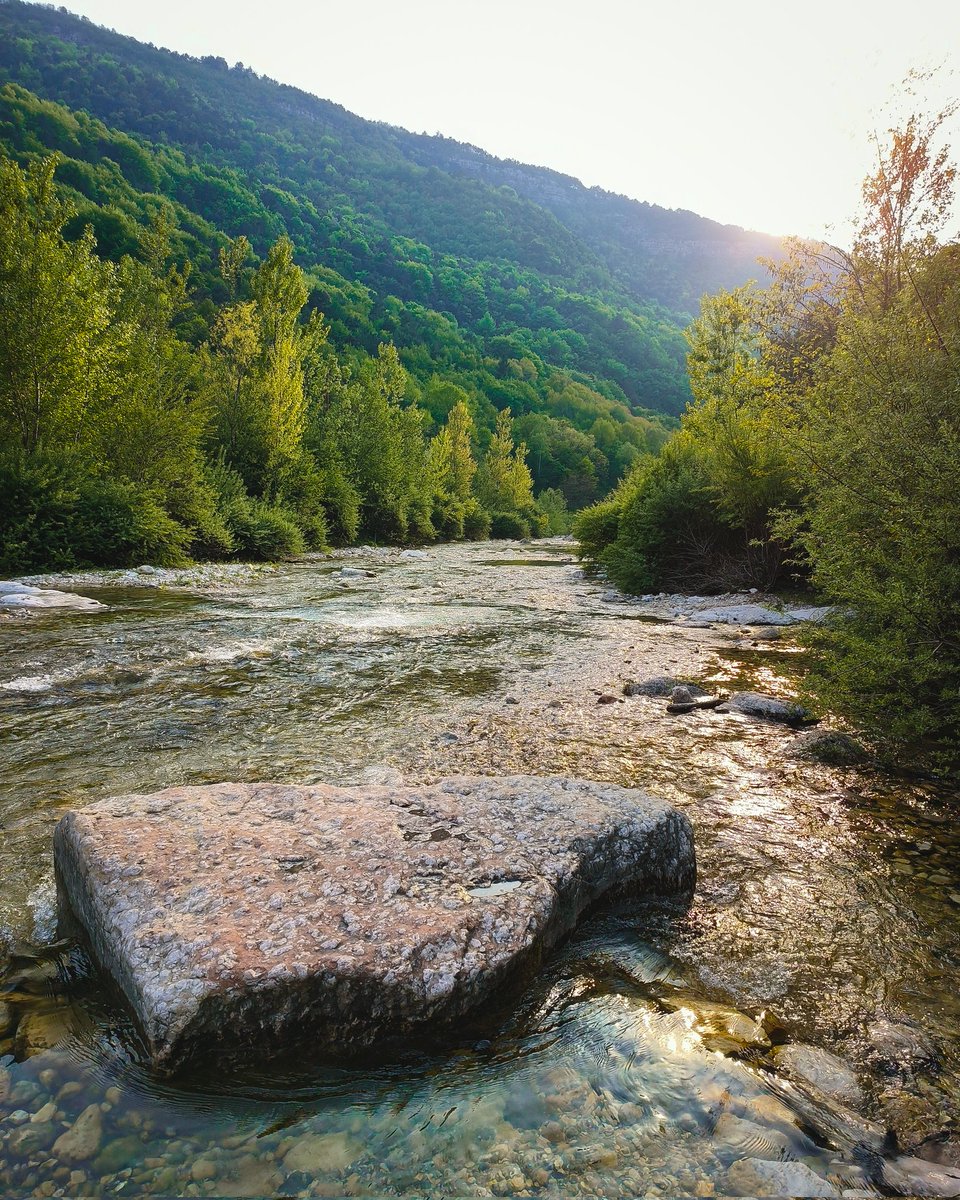 zommylens's tweet image. Peace of mind 🌲🌊

#OPPOFindN2Flip #Flexform #Flipcreativity #OPPOAmbassadors