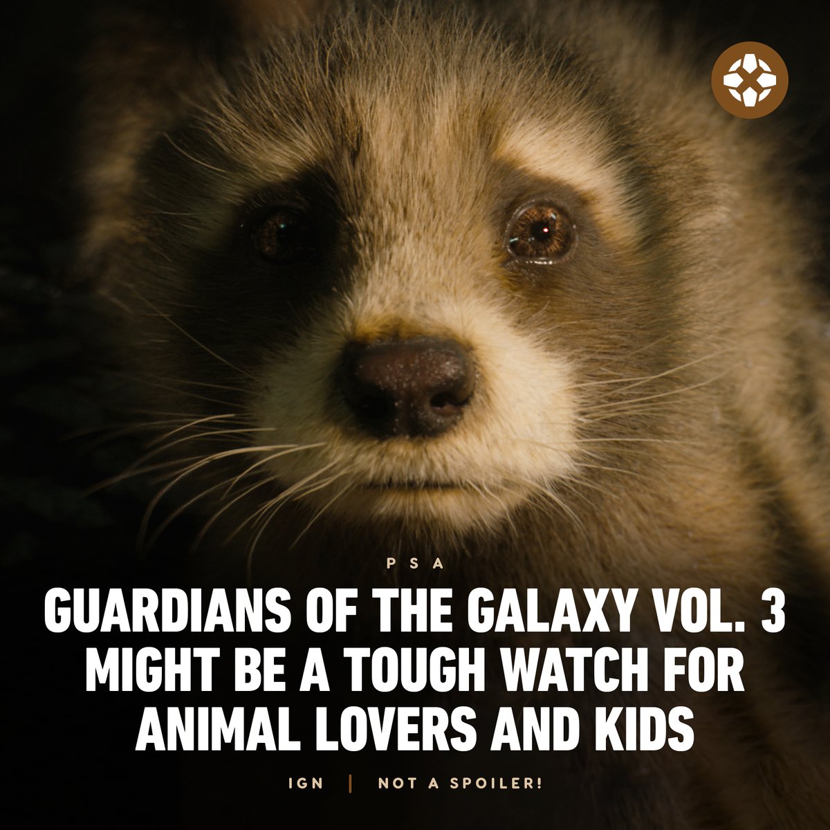 IGN tweet media