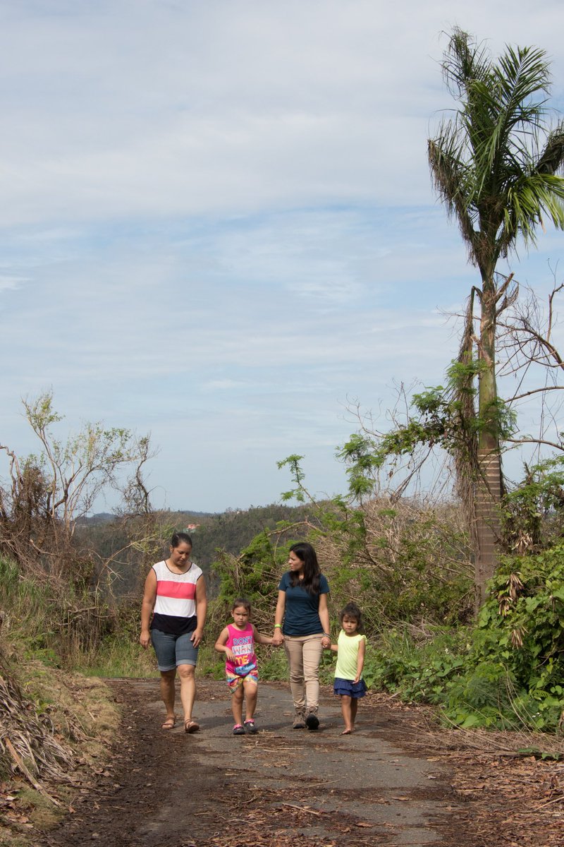 Matthew J. Friedman tweet media