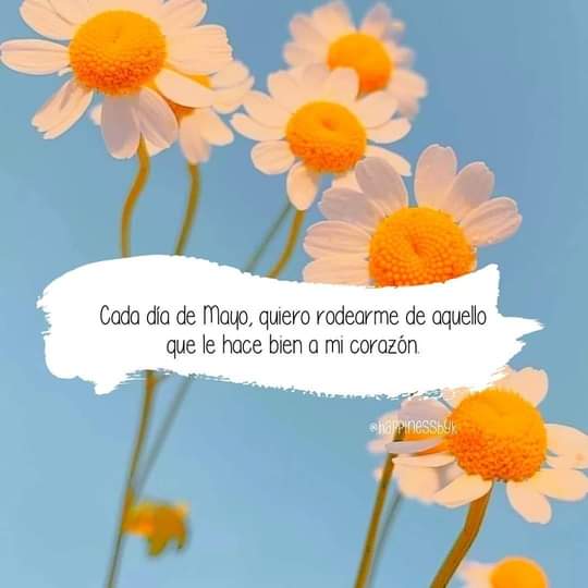 Tere Hdez. (@there226) on Twitter photo 