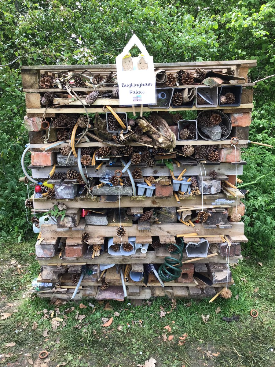 Manorfield C of E Primary School tweet media