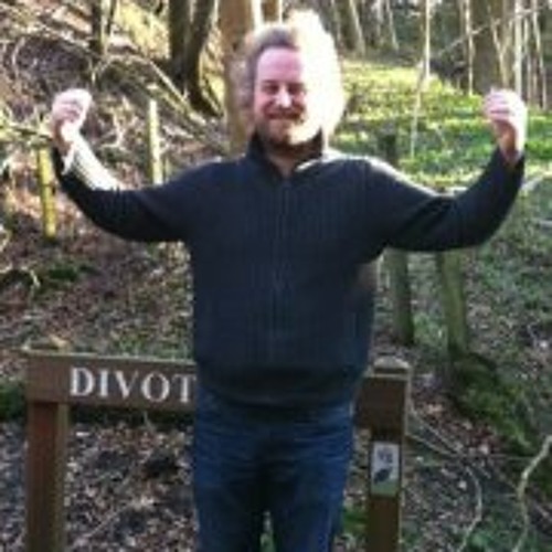 Virgin of the Birds tweet media