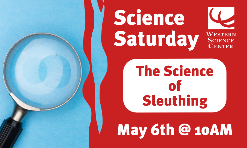Western Science Center (@westerncenter) on Twitter photo Join us TOMRROW for the last SciSat before summer! Look for clues & solve mysteries as you learn all about the Science of Sleuthing!
SciSats are held in partnership w/ <a href="/HUSDParents/">Hemet USD Wellness and Community Outreach Center</a>. HUSD friends and family can make it a day w/free admission into the museum on SciSat days! Join us TOMRROW for the last SciSat before summer! Look for clues & solve mysteries as you learn all about the Science of Sleuthing!
SciSats are held in partnership w/ <a href="/HUSDParents/">Hemet USD Wellness and Community Outreach Center</a>. HUSD friends and family can make it a day w/free admission into the museum on SciSat days!