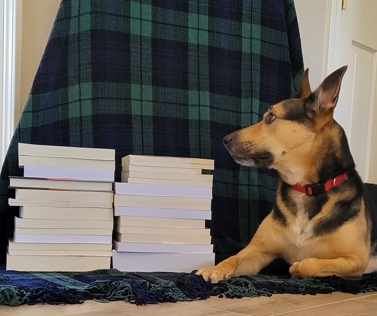 My office mate seems a tad intimidated by the latest stack of books I will be judging for the Writer’s Digest self-published book award… #bookstack #bookpile #booksoftwitter #booklove #novels #wellreaddog #bookishproblems #authordogs