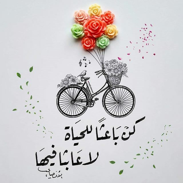 MeidooMeidoo1's tweet photo. اللهم إجعلنا على الطريق الصحيح https://t.co/fFCT03lSsu