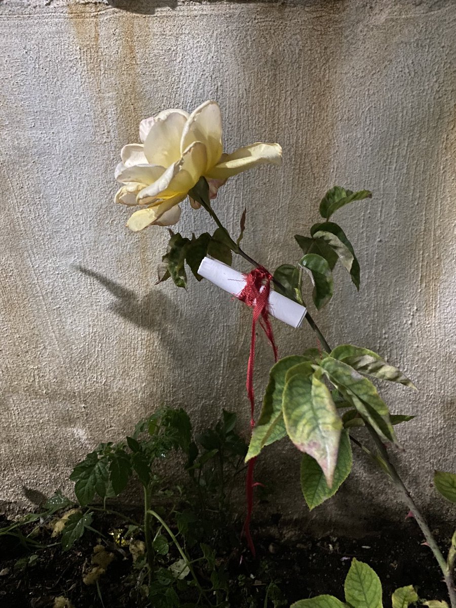 Birtakım batıl inançlar gerçekleştirildi #HIDIRELLEZ