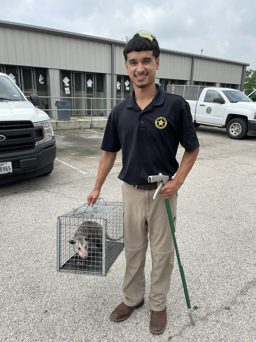 Thank you so much to the students of the Reading Junior High National Honor Society for stoping by to visit and volunteer at our shelter today! 

Things got a little more interesting than we bargained for when the students discovered a possum had been hiding/living in one of our
