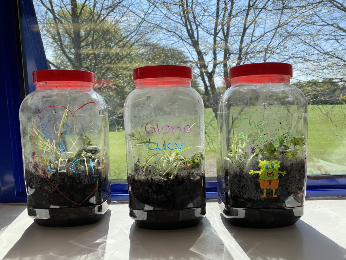 @WarminsterESS tweet media