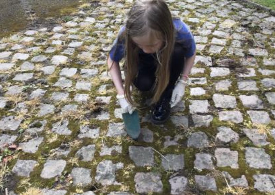 Manorfield C of E Primary School tweet media