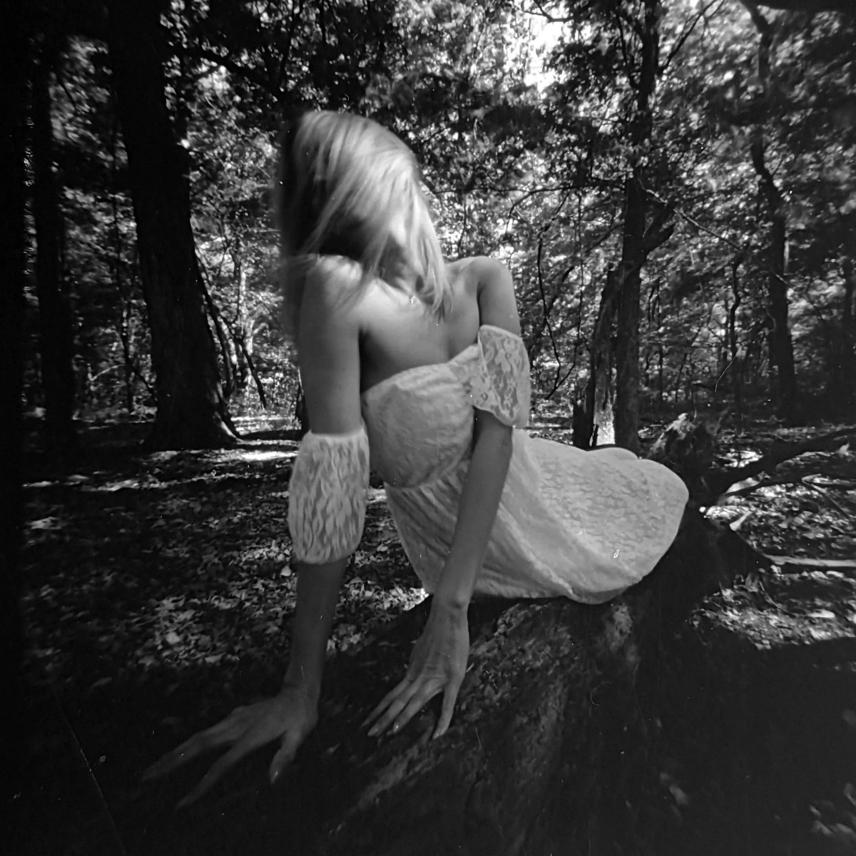 kevincampphoto's tweet photo. Magical Forest Vibes with Devon on Fuji Acros II and my trusty Zero Image 2000. Film dev'd in D76 #wwppd #wwppd23 #pinhole #stenope #shootfilm #filmphotography #dramatic https://t.co/k55W33wN3N