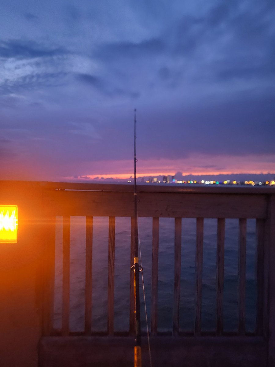 Time for shark! Here fishey fishey