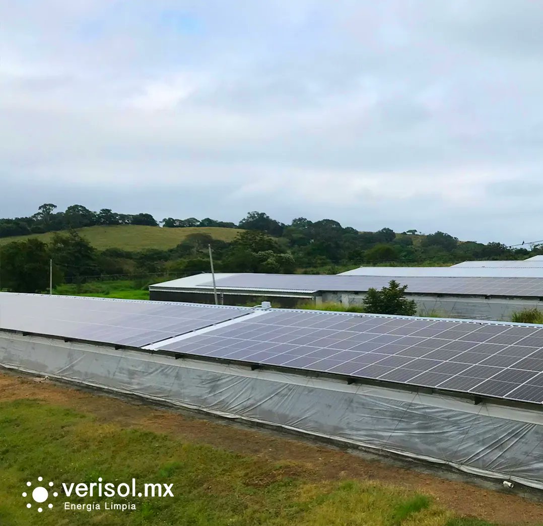 Con nuestros paneles solares, el cambio es fácil y accesible para todos. #PanelesSolares #PonlePaneles #EnergiaLimpia #Sustentabilidad #Inversion #Futuro #Mexico
