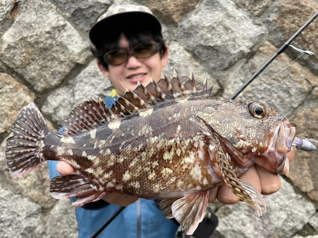 wocadaaa's tweet photo. 極太捕獲🔥
■#apia
#BruteHR #HarborVersatile77MX
■#Daiwa
#CertateLT2500SXH
■ #LIVRE
#ユニオン52_58 #さくらリミテッド
■#XBRAID
#UPGRADE_PE_X4 0.8号
#MonsterbraveZ 12lb
■#BKK
#DuoLockSnap
■#DreemUP
#DDHead25
#Dart8_25 https://t.co/TwPxEeSDfI