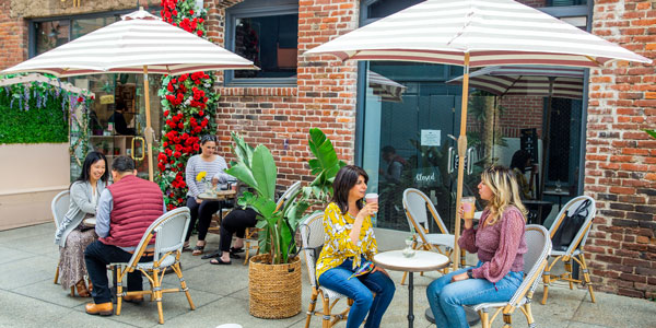 Old Pasadena tweet media