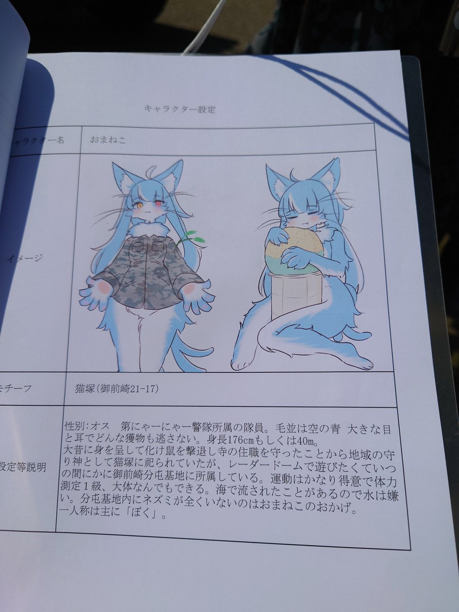 けもケットにおまねこくんが登場するので、キャラシートの要点おさらい