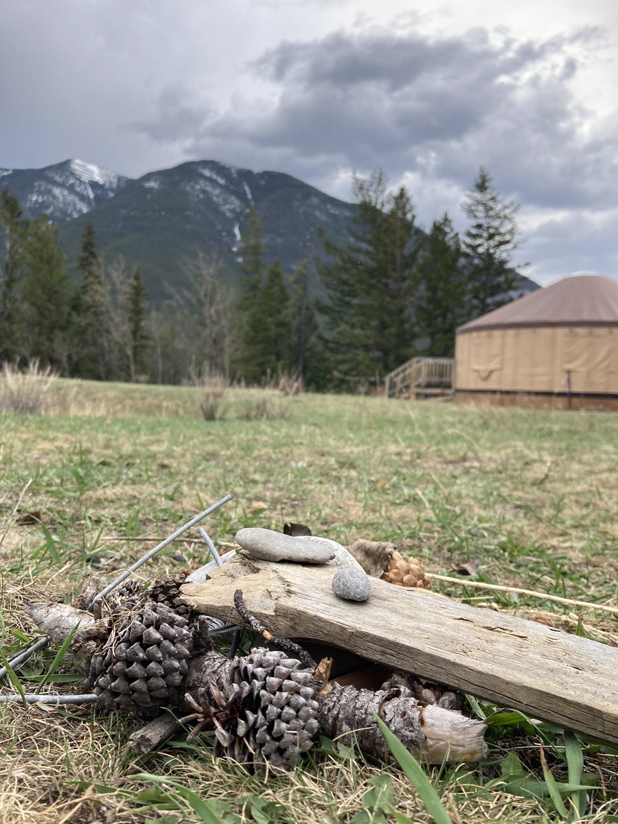 thimble_yyc's tweet photo. When the land is our co-teacher, there is nothing we cannot learn. Or unlearn. #OLconference23 @takemeoutside https://t.co/iEizGZydsx