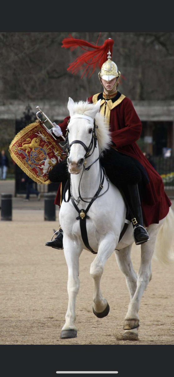 This is my 19 year old son George. He is escorting our King today. I have never been so proud. Your going down in history son. Love you ❤️

#bluesandroyals #householdcavalry #kingsguard #trumpeter #KingsCoronation #kingscoronation2023 #Coronation