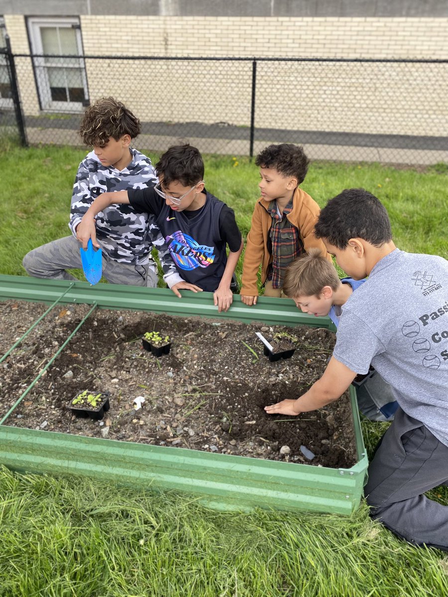 Lehansky18's tweet photo. Brookdale Blooms! We had a great time planting with our 5th grade friends today!  @BrookMrAlban @hydroponicjohn @BrookdaleHSA https://t.co/Ivb3btTfJF