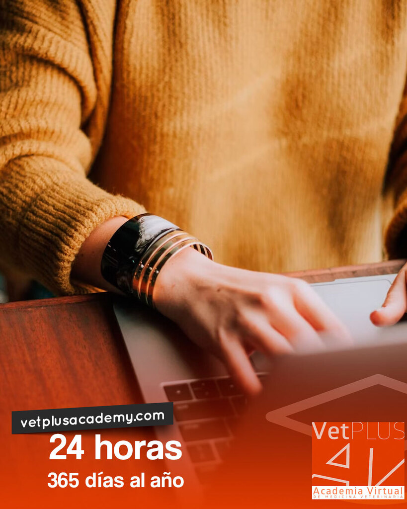 vetplusacademy's tweet photo. Cualquier momento es el ideal para iniciar sesión. Nuestra web siempre está habilitada para entrar en sesión con el saber. ¿Lo único que necesitas? 

Una conexión estable a internet. Comprueba nuestra disponibilidad conectándote en … https://t.co/QfQqJJY1Bi https://t.co/3wHV2BHZZS