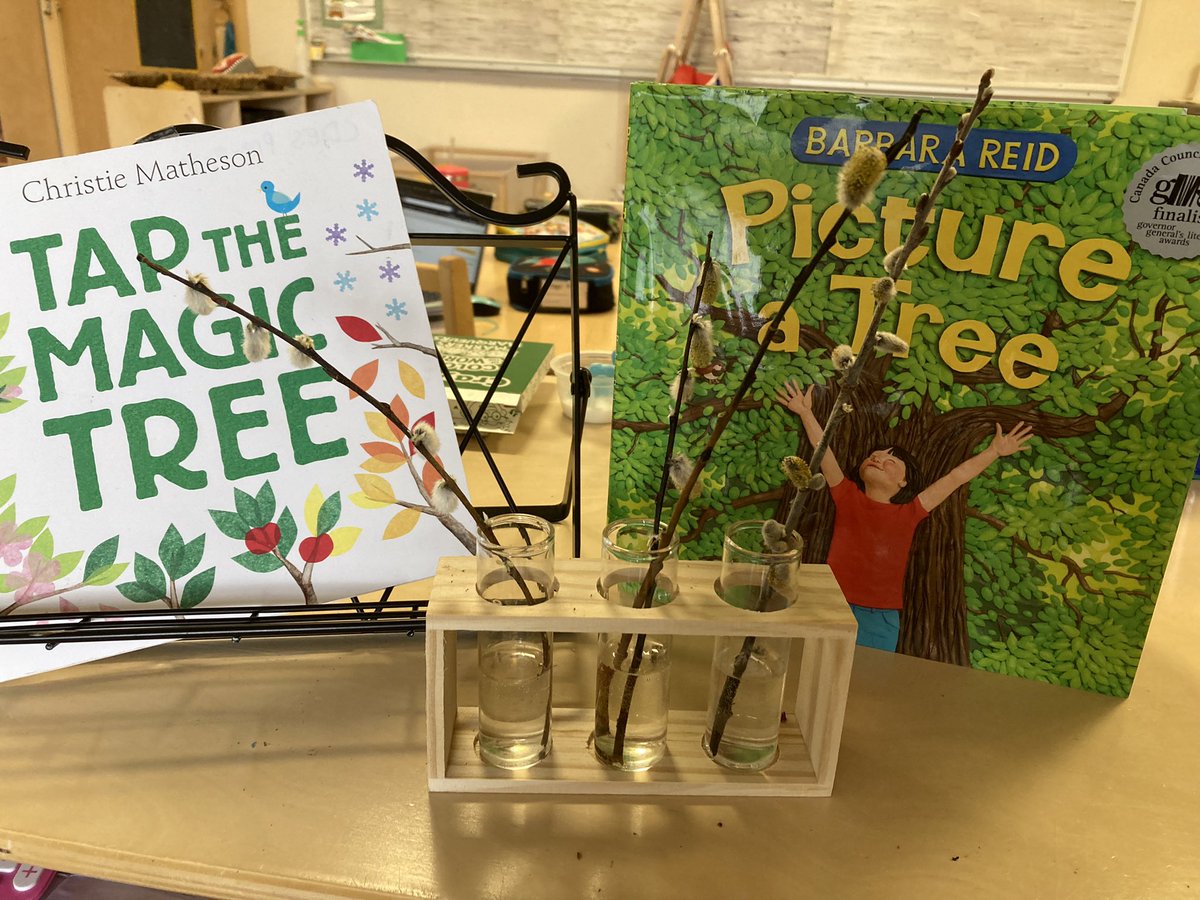 Connecting literacy and science with this invitation to explore different kids of tree buds at Cambridge #nspreprimary