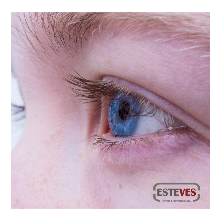 OpticaEsteves's tweet photo. En Óptica Esteves nos preocupamos por su salud visual. ¡Agende una cita con su oftalmólogo de confianza para una revisión completa de sus ojos! Luego lo esperamos en nuestro local para ofrecerles la mejor calidad, al mejor precio. #SaludVisual #OpticaEsteves #Mendoza https://t.co/hz1WgM5sjl