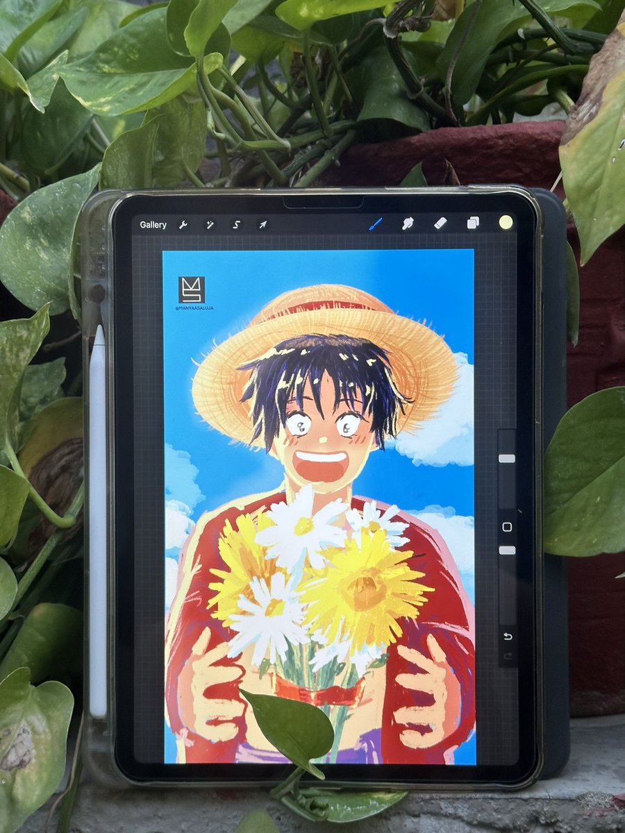 ManyaaSaluja's tweet photo. Happy birthday luffy!!! 

Monkey d luffy #animelove #onepiece https://t.co/skOg2vaTp1
